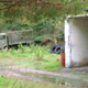 Illustration for article titled This Abandoned Soviet Sub Base Is Hiding Amazing Army Truck Barn Finds
